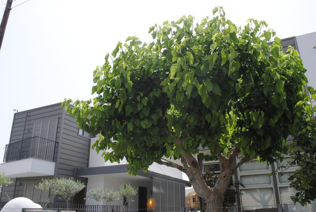 Agnanti Apartments ارغاكه المظهر الخارجي الصورة